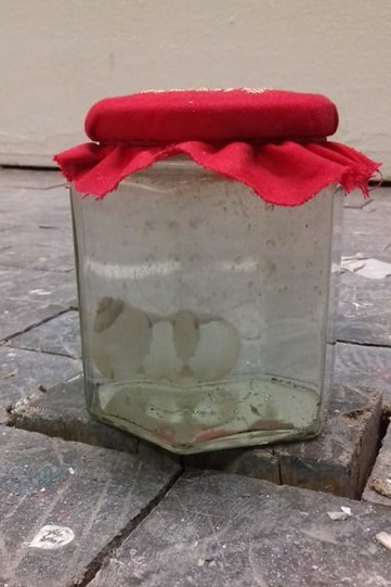Ein Schraubglas mit rotem Stoffdeckchen darauf. Darin eine eintrübende Flüssigkeit und ein durchscheinendes Schneckenhaus.